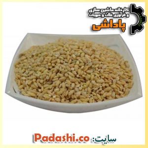 خرید جو پوست کنده عمده از پاداشی