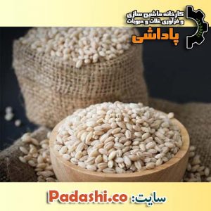 "نکات