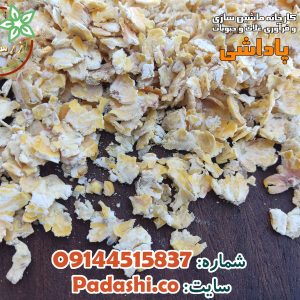 ذرت پرک بخارپز شده دامی (آجیل ارزان دامی مخصوص پروار کردن)